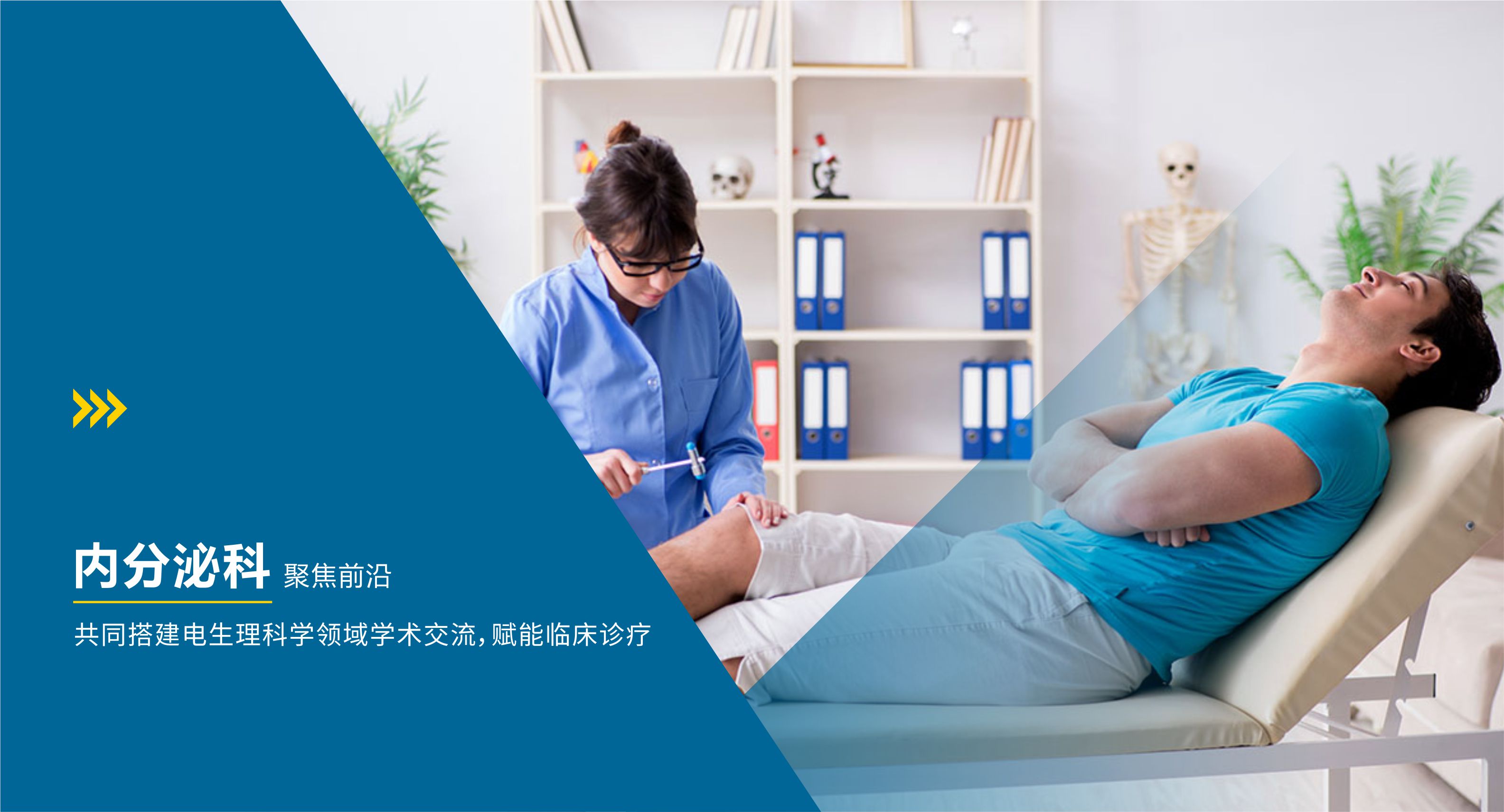 内分泌科